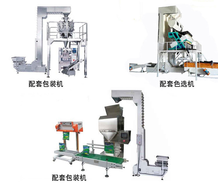 炒貨Z型上料機(jī)廠(chǎng)家.jpg